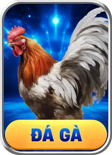 đá gà